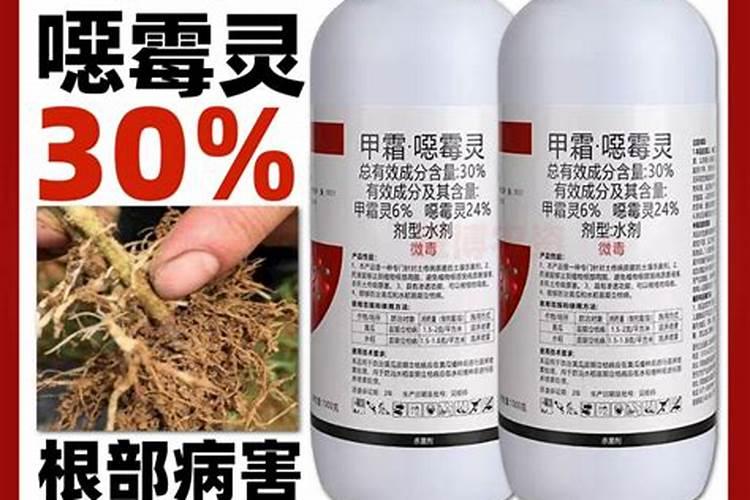 水稻破口期需要水吗
