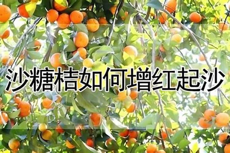 肥料的简易识别方法(下)