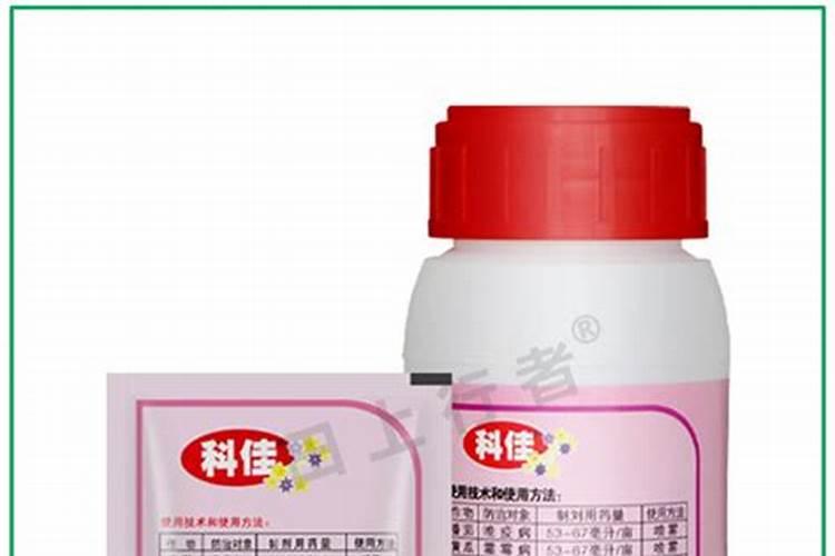 丝瓜黄叶病用什么药效果好
