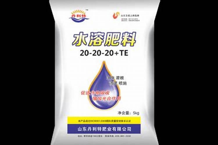 时光梅酒和梅见哪个好喝