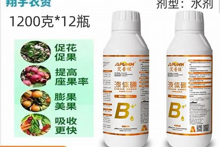 什么肥促进花芽分化;什么肥料能让根系快速生长