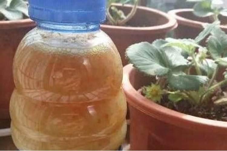 黄豆水属于磷肥还是氮肥