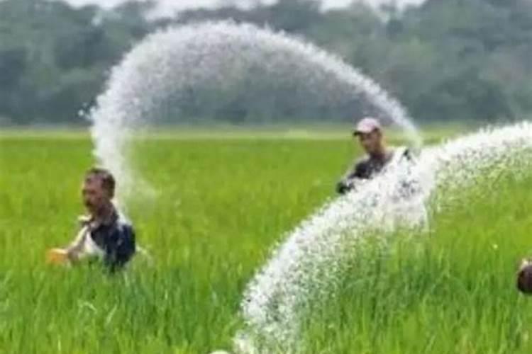 立春时节可不可以对果树施肥呢