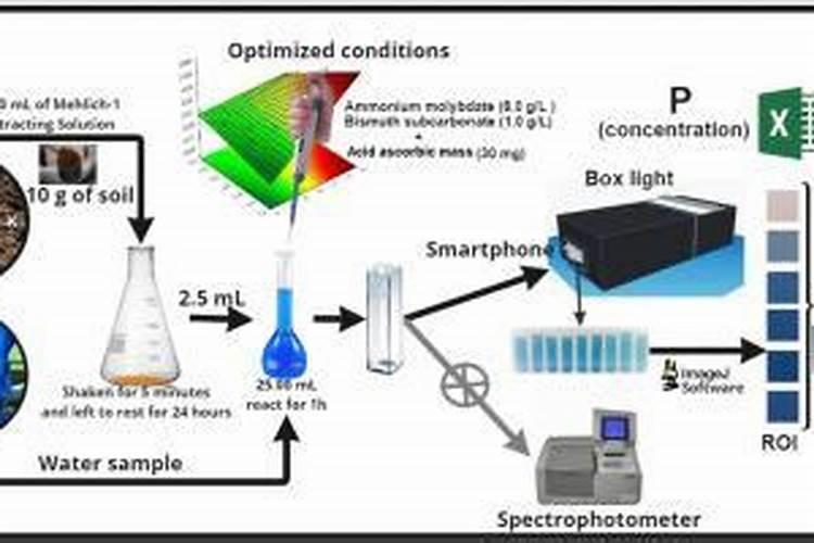 白磷肥含磷是指干基还是湿基
