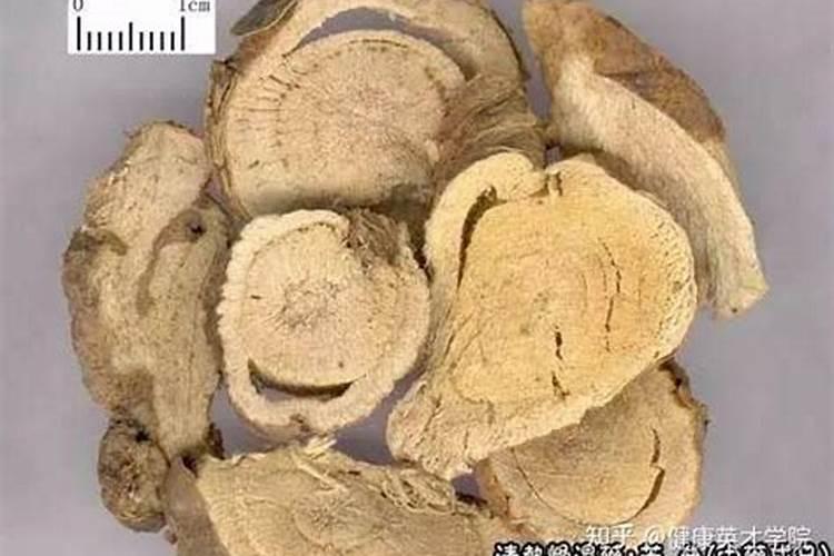 梨树施什么肥好
