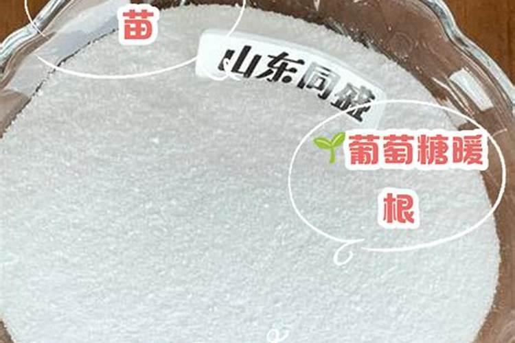 葡萄糖做叶面肥有效吗