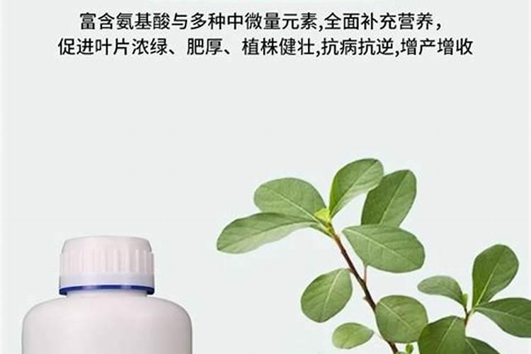 氨基酸肥料对果树是何作用,该怎样正确使用？