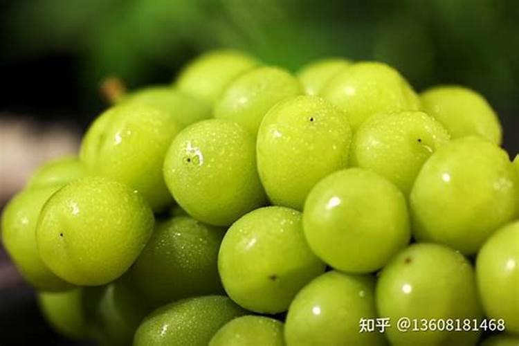 种豆角是先浇水还是后浇水