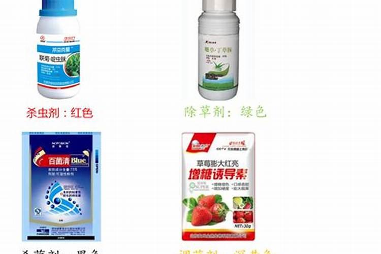 草莓叶缘干焦不一定是病害,什么原因造成的？