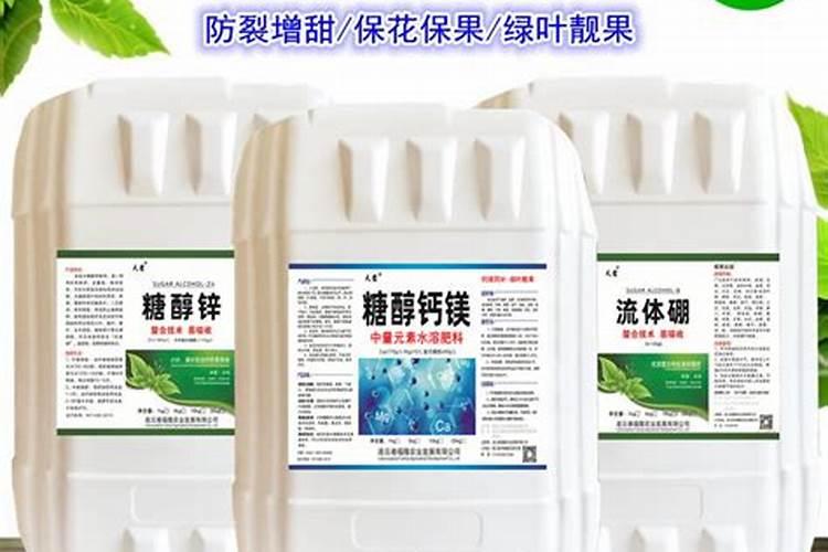烟草育苗的6个要求