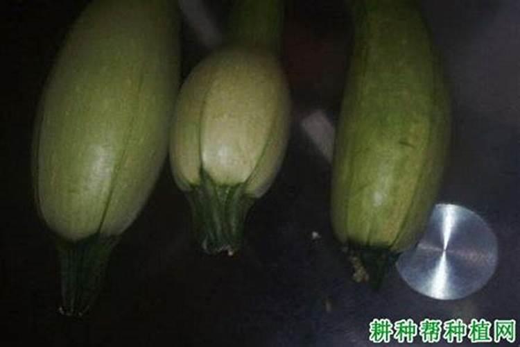 湖北安陆市怎么样的一个城市