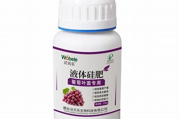 乌鱼蛋汤怎么做营养又好喝？