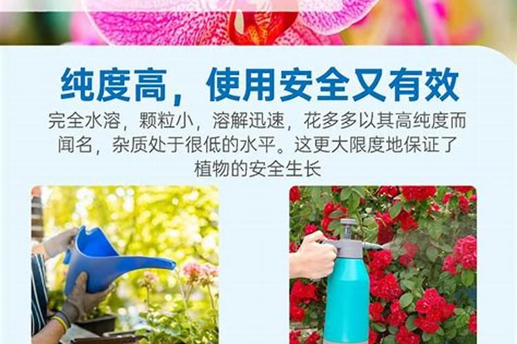 西葫芦缺素症状