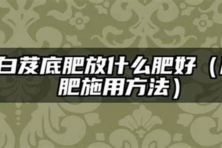 辣椒微肥如何施用效果好？(如何给辣椒施复合肥)
