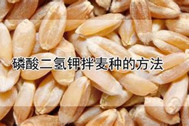 哈茨木霉菌能与杀菌剂混用吗,附使用方法