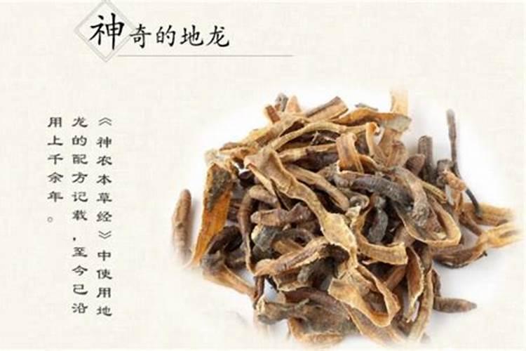地龙海参片功效有哪些