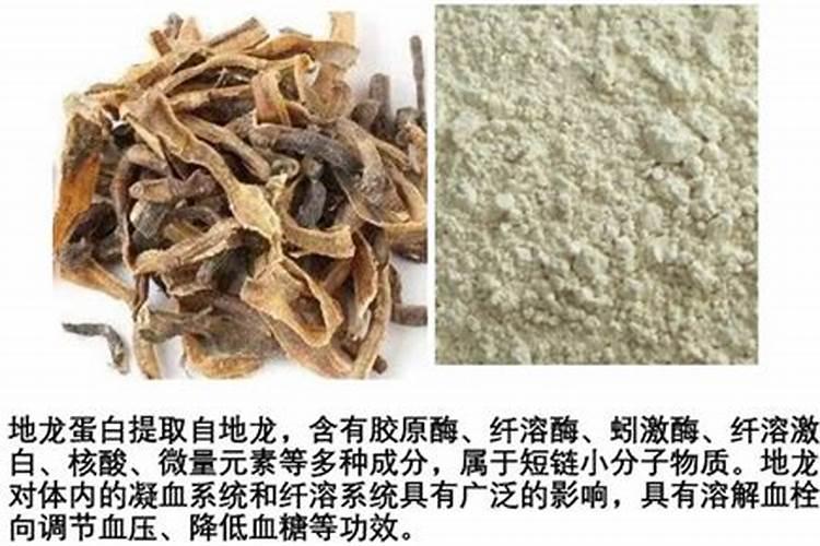 蚯蚓的药性是什么？