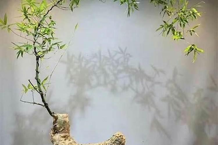 儿歌歌词花儿香,妈妈为我添衣裳