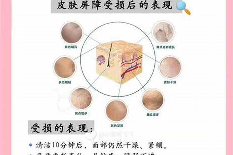 磷钾肥指的是什么肥？