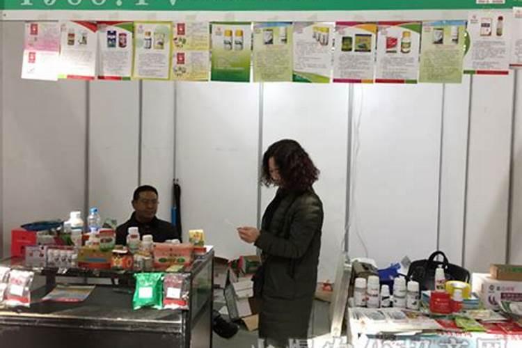 番茄中有抗青枯病的品种吗？能介绍一下!