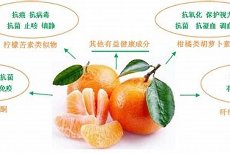 柑橘脱水怎么补救