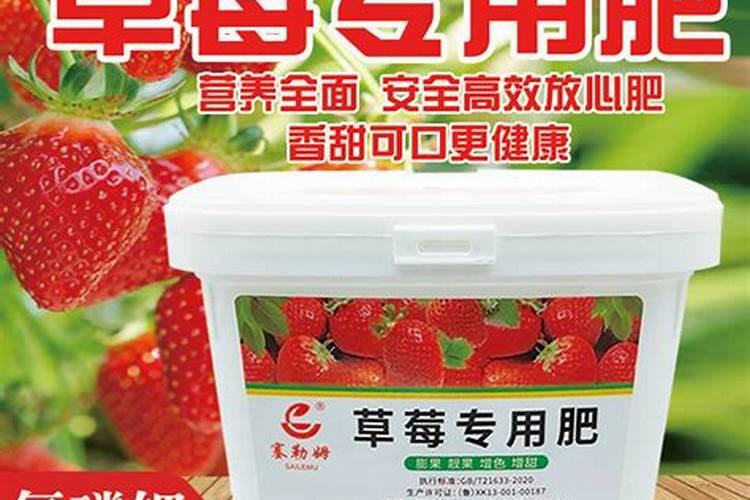 草莓适合施加什么样的肥料