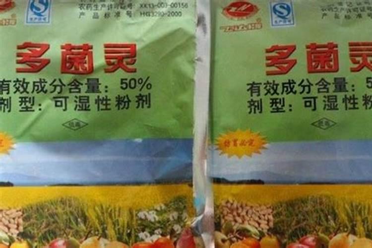 发财树叶子长黄斑,咋回事