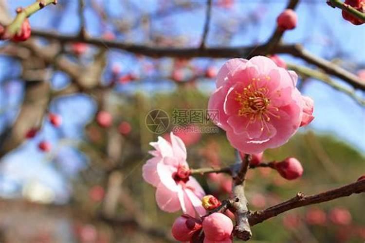 当酱油加上醋是什么味道