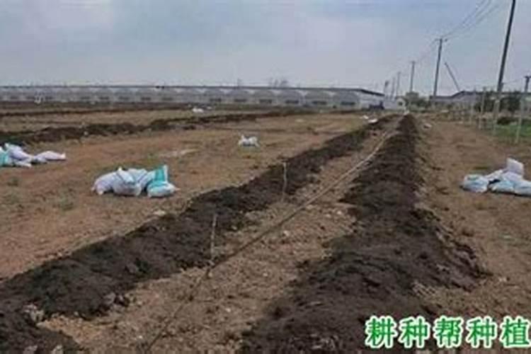 150ml的水大概有多少