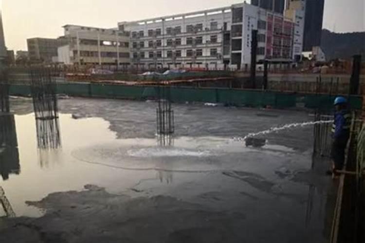 南瓜子和白瓜子有什么区别？