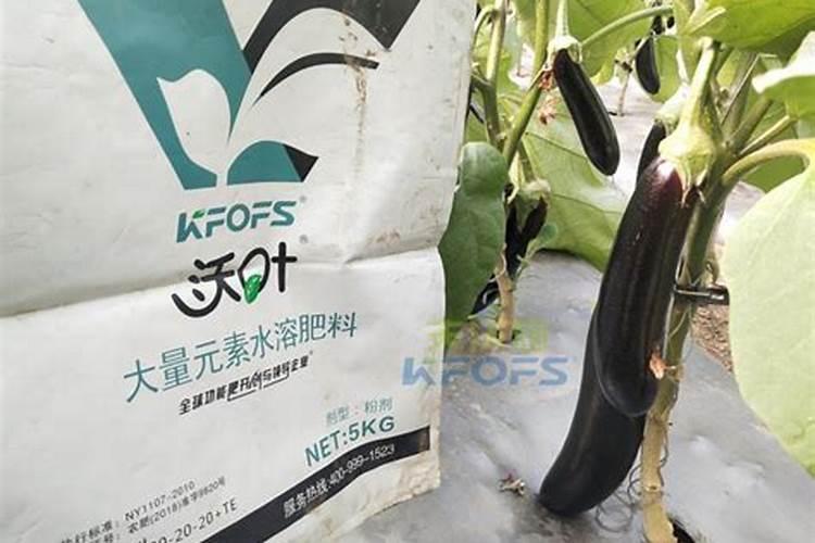 水溶肥是什么肥料 水溶性肥料的优缺点有哪些