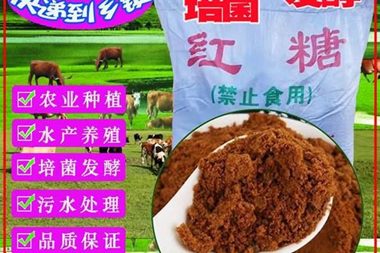 红糖当冲施肥怎么用