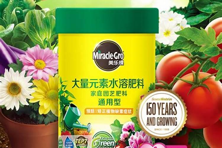 锦鲤池放盐需要放多少