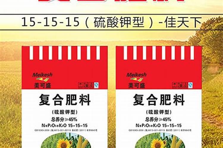 大叶绿萝施什么肥