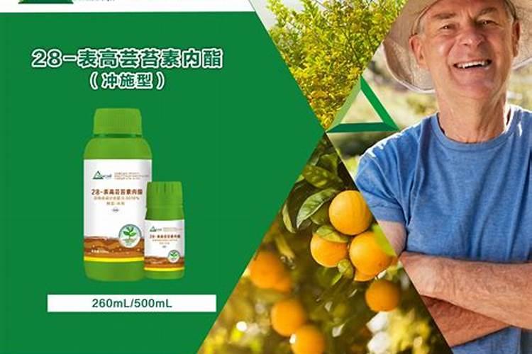 如何施用硼肥