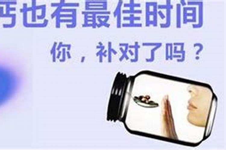 沃柑种子怎么发芽