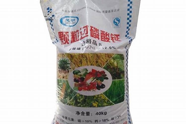 蓝莓苗多少钱(蓝莓苗价格)