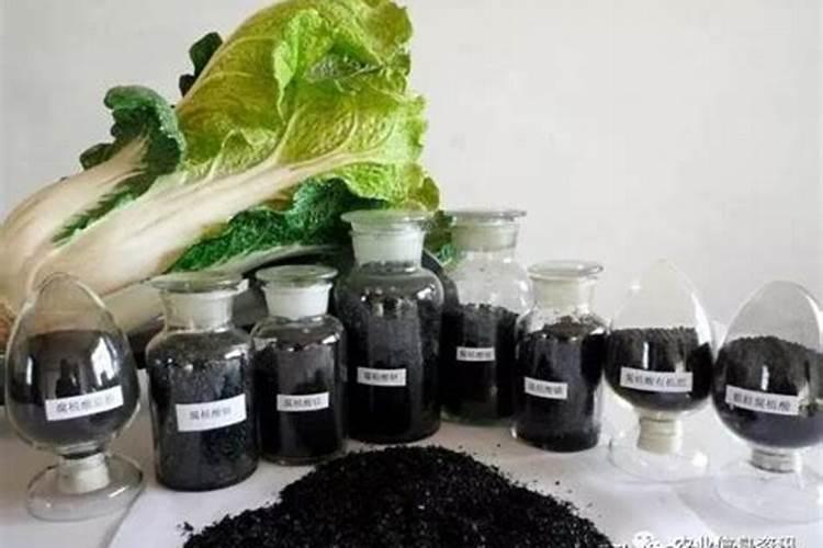 玉米的最佳收割期是什么时候？有什么需要注意的地方？