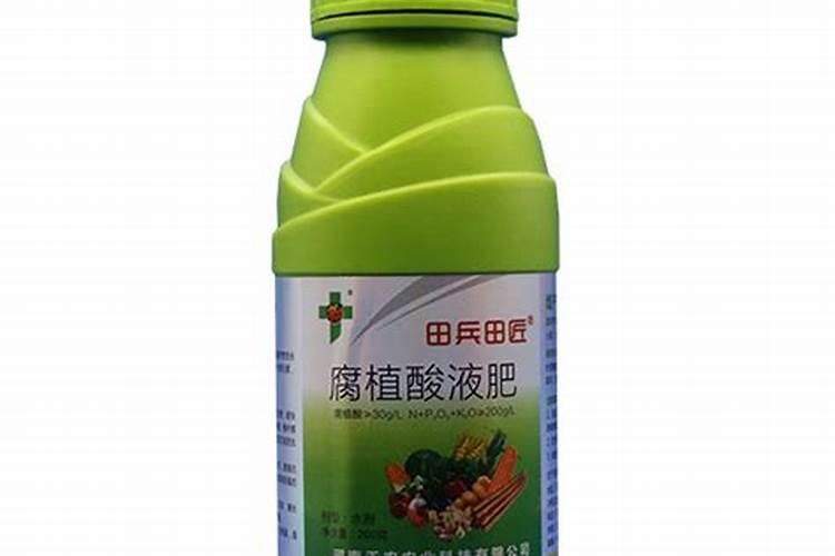 李子树苗的种植方法 李子树怎么进行病害防治