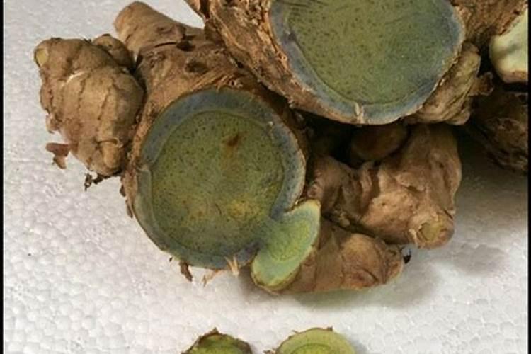 芸苔素可以浸姜种吗？起什作用