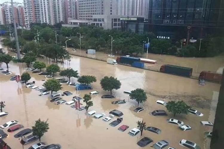 请问专家,套种的生姜叶子泛黄是怎么回事,要怎样防治？