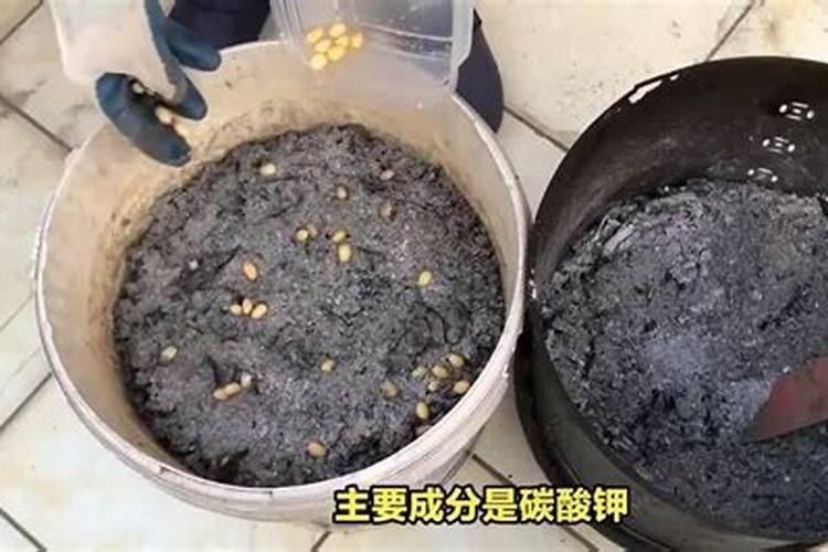 中国南方果树期刊简介