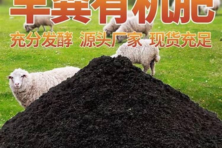 买的有机肥料怎么用