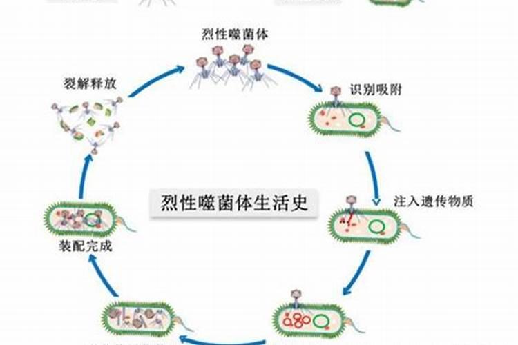 大豆开花期打什么叶面肥好 大豆用什么肥