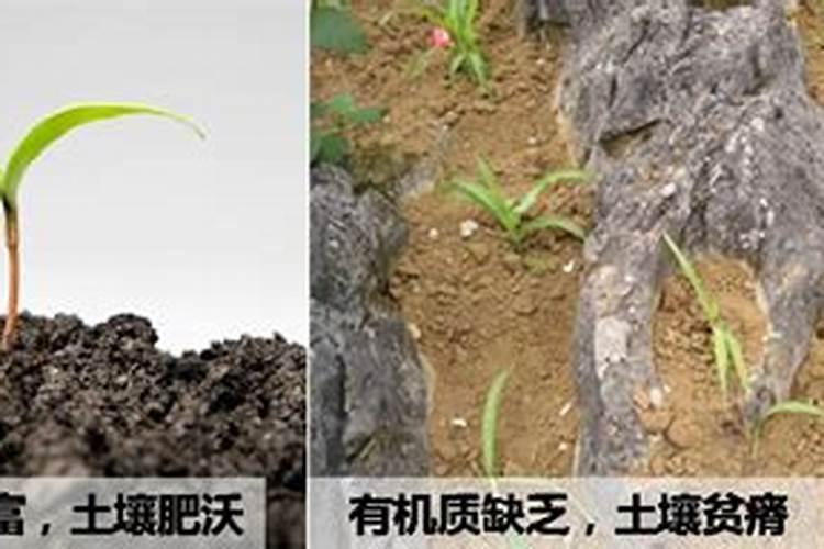 张家口富赢丰蔬菜种植有限公司怎么样？