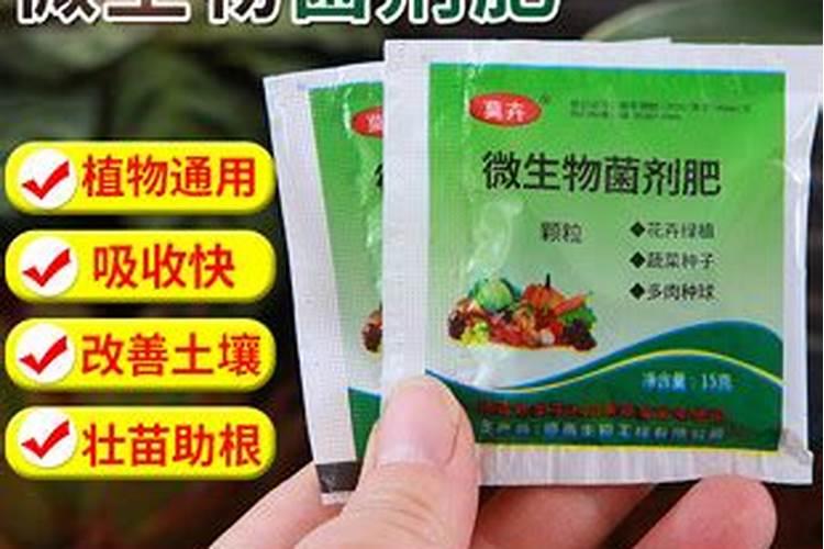 黄瓜苗什么时候施肥黄瓜苗的施肥时间