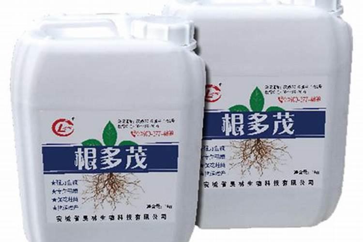 根苗旺。水溶肥能灌茄子跟吗