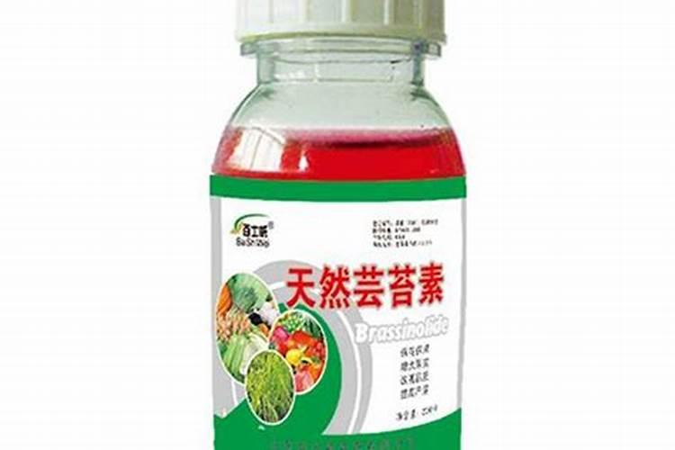 种蒜需要打几遍防冻剂