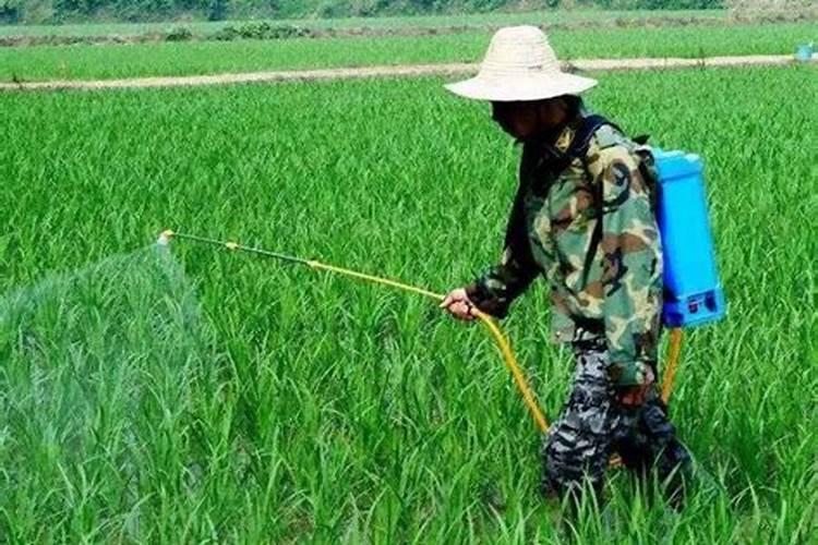 中国水溶肥的前十名 中国十大水溶肥排名