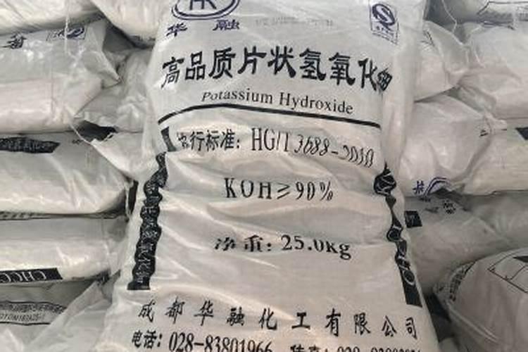 仓鼠多久喝一次水